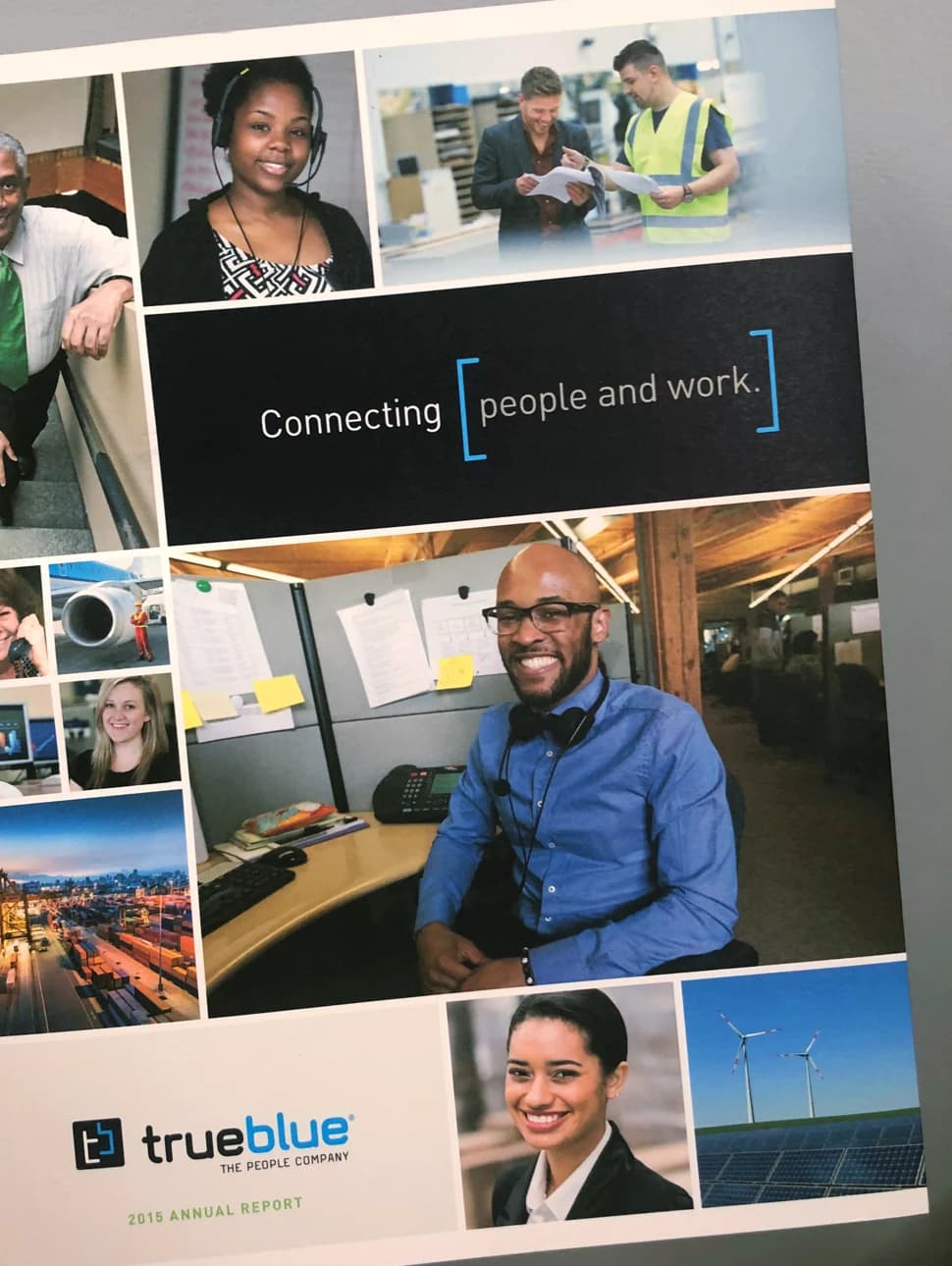 2015 annual report
